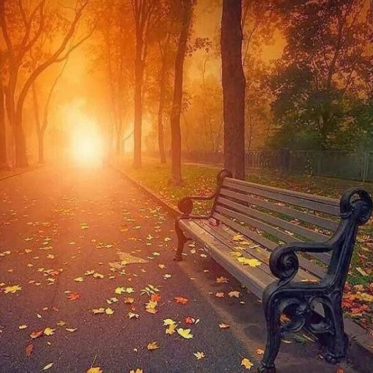 фото из интернета