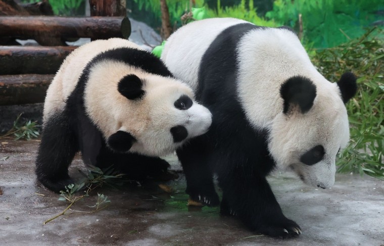    Алексей Белкин/NEWS.ru