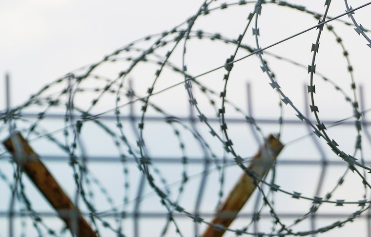    Алексей Белкин/NEWS.ru