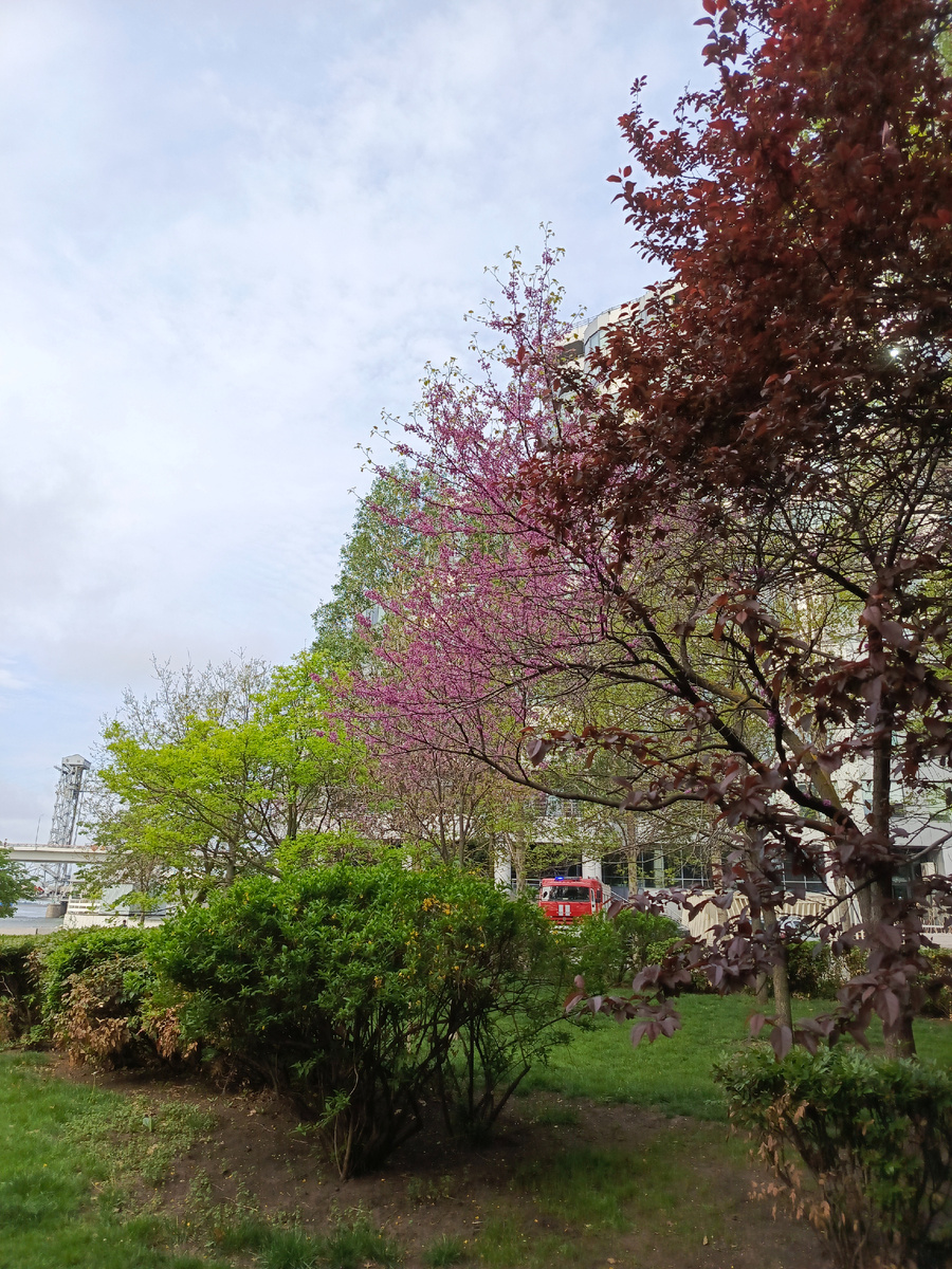 Пожарные приехали красиво! 😍