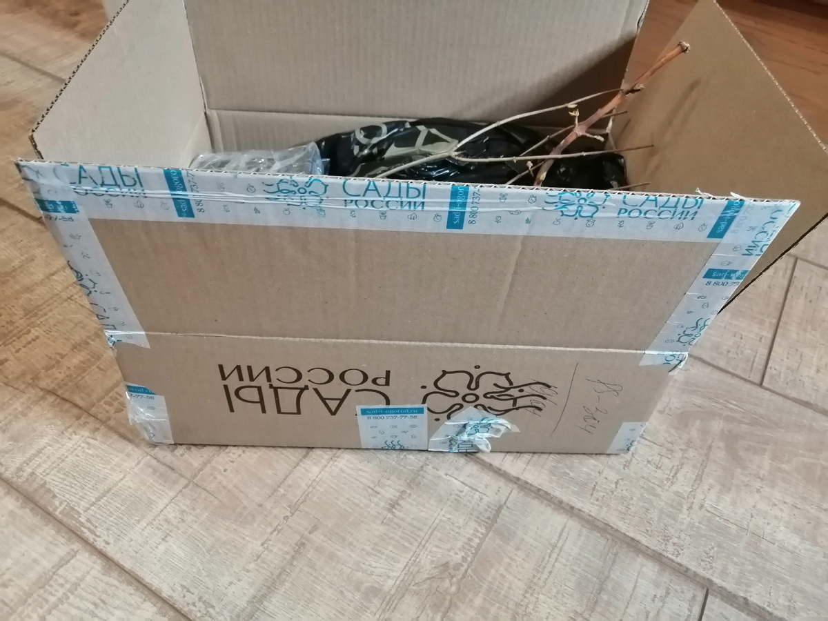 Посылка из Челябинска