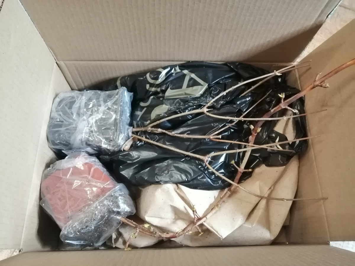 Открыла посылку