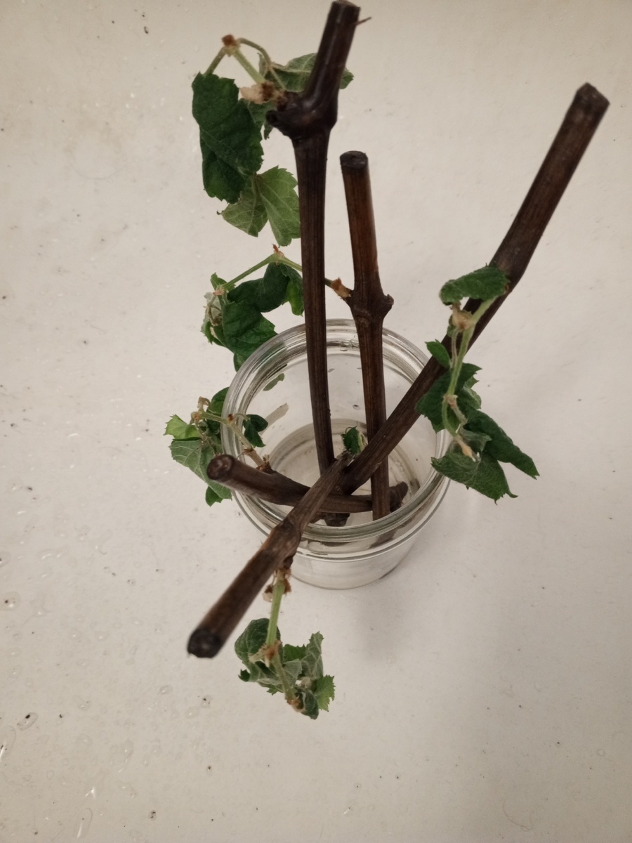 Фото подписчика 