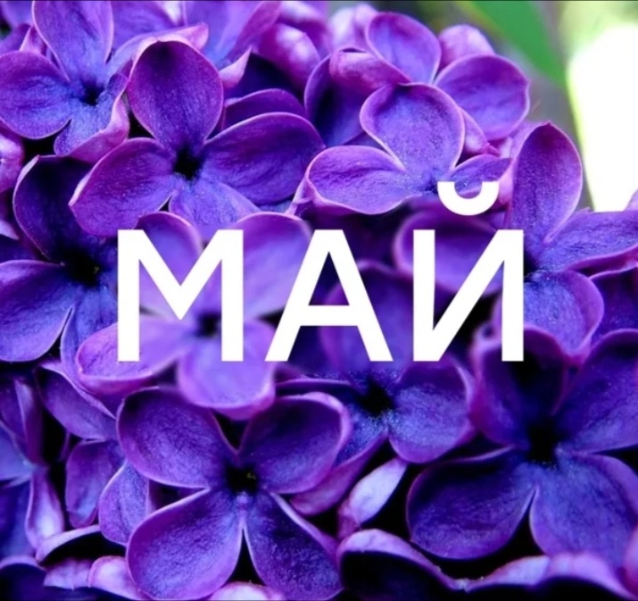 Краски мая... 