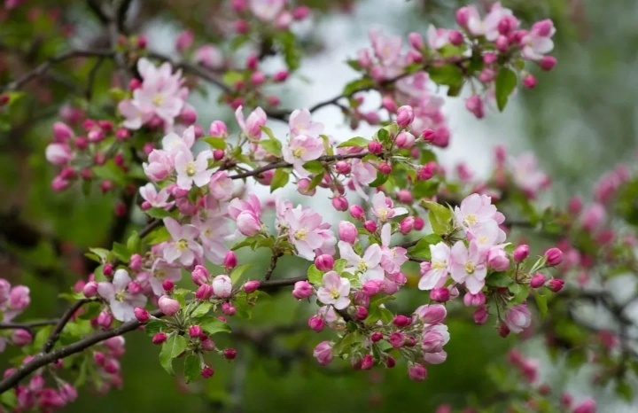 Чудесный май... 