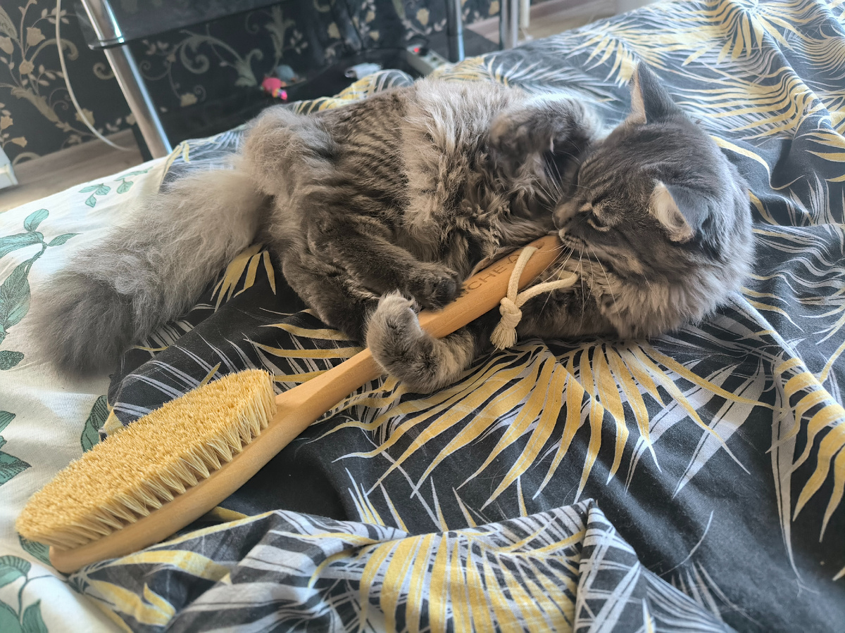 Все фотографии в статье авторские