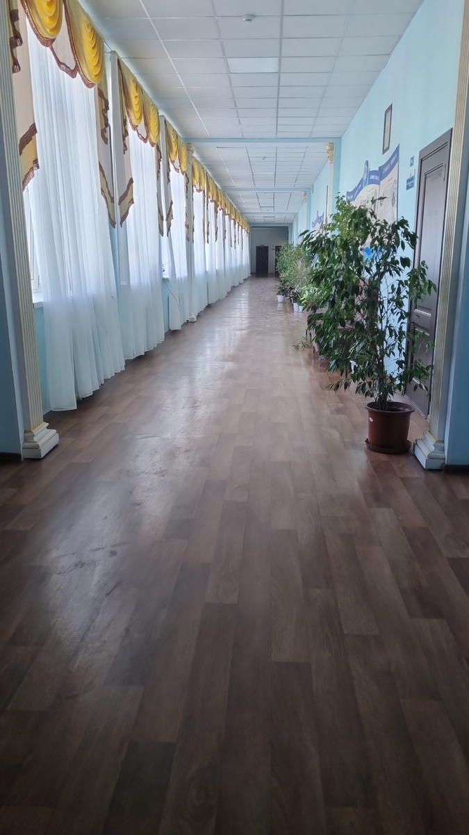 Пройдём по тихим школьным этажам... 