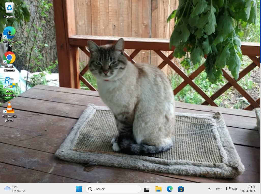 Windows 11 на компьютере