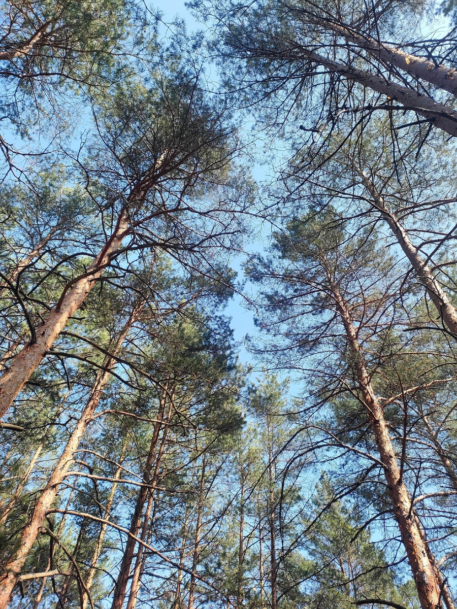 Этнопарк Сувар