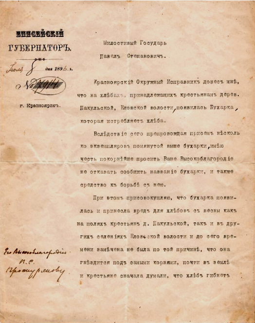 Скриншот письма губернатора из фонда Красноярского краевого краеведческого музея