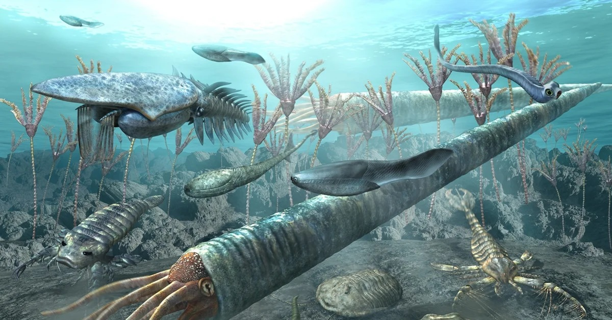 Яндекс.Картинки