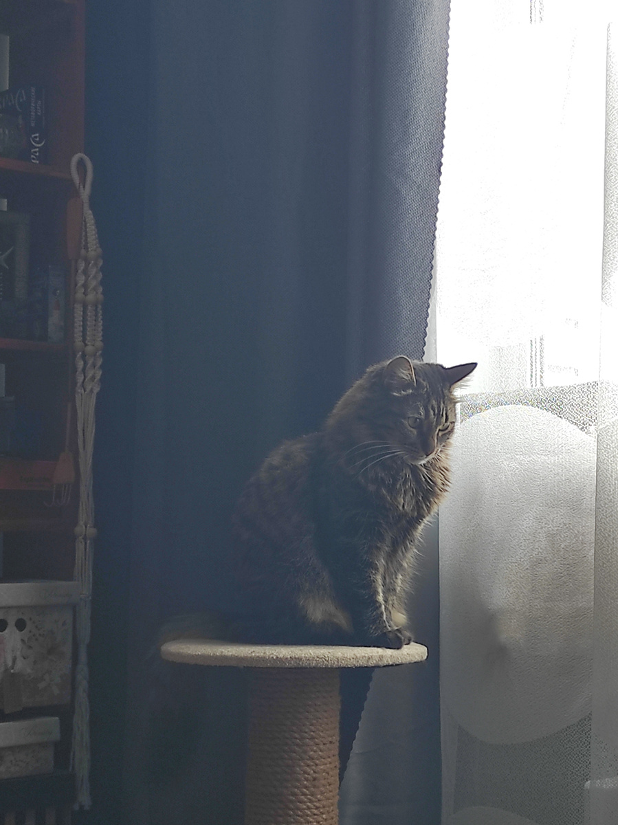 А когда кушаЦ