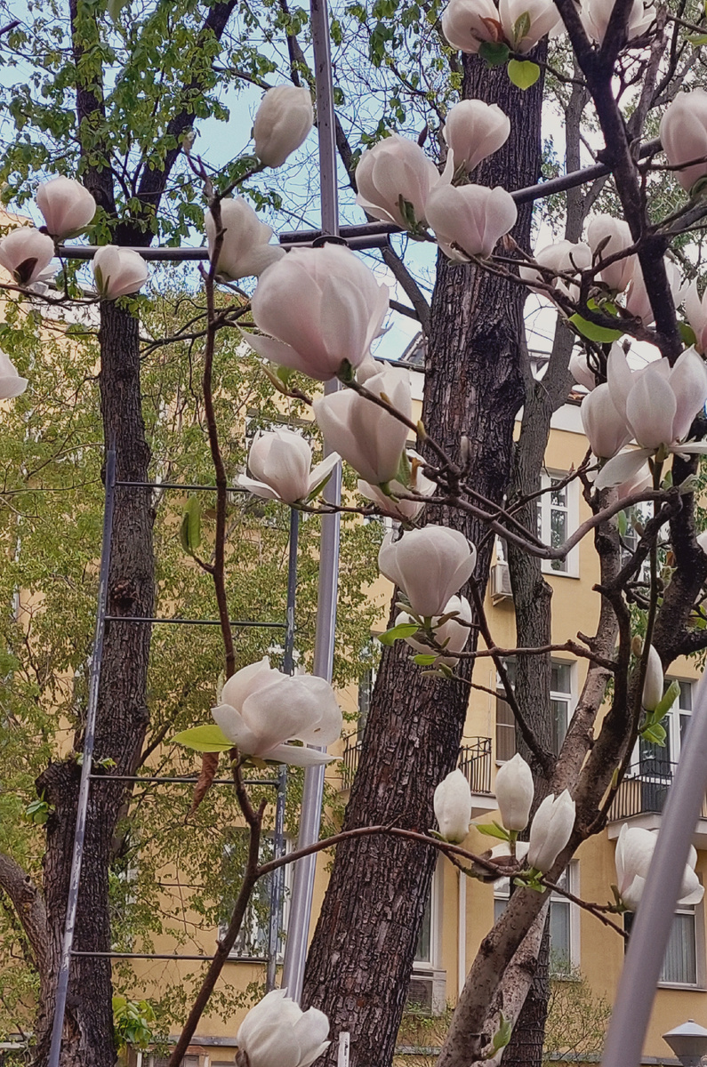 фото автора ТГ канала Нюсины прогулки