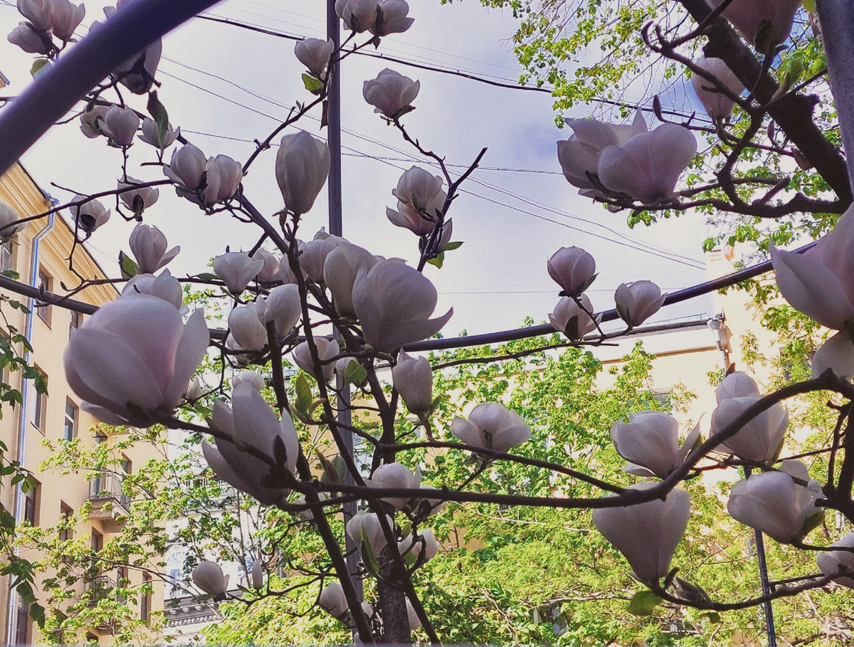 фото автора ТГ канала Нюсины прогулки