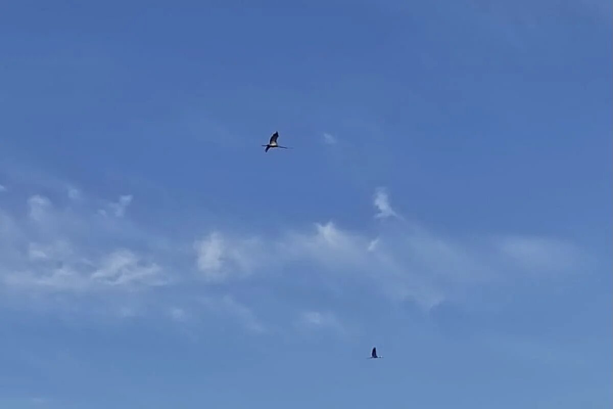 Фото: UfacityNews.ru