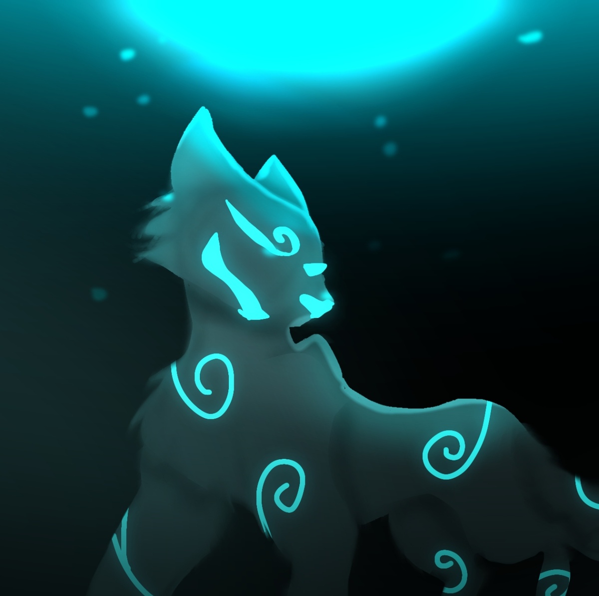 Magic Cat