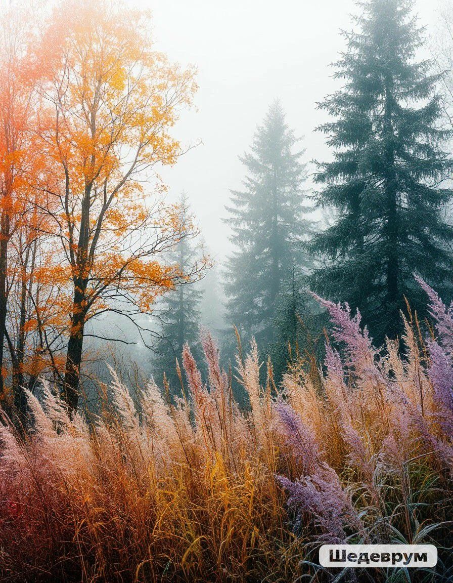 ССгенерировано в Шедеврумгенерировано в Шедеврум