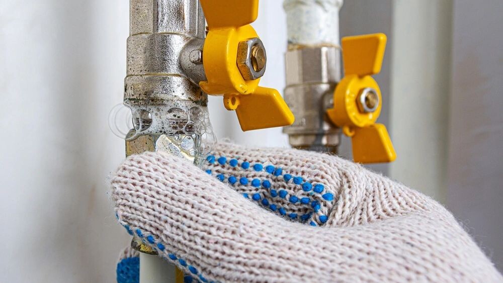    Фото: Yevhen Prozhyrko/Shutterstock/Fotodom