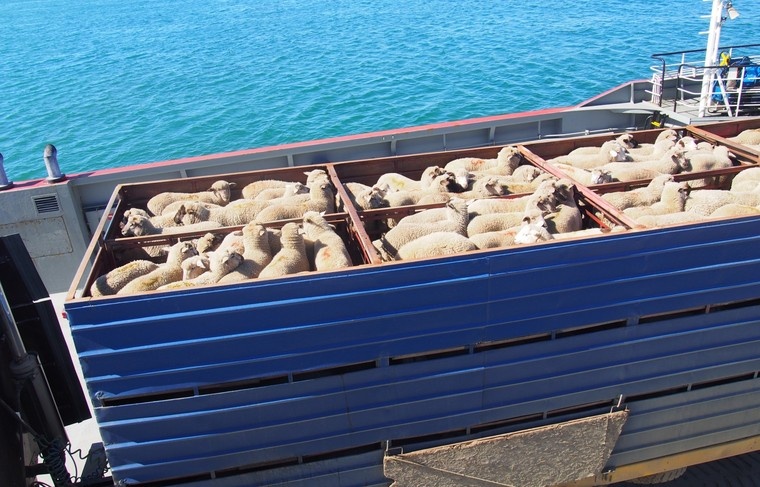    Shutterstock/FOTODOM