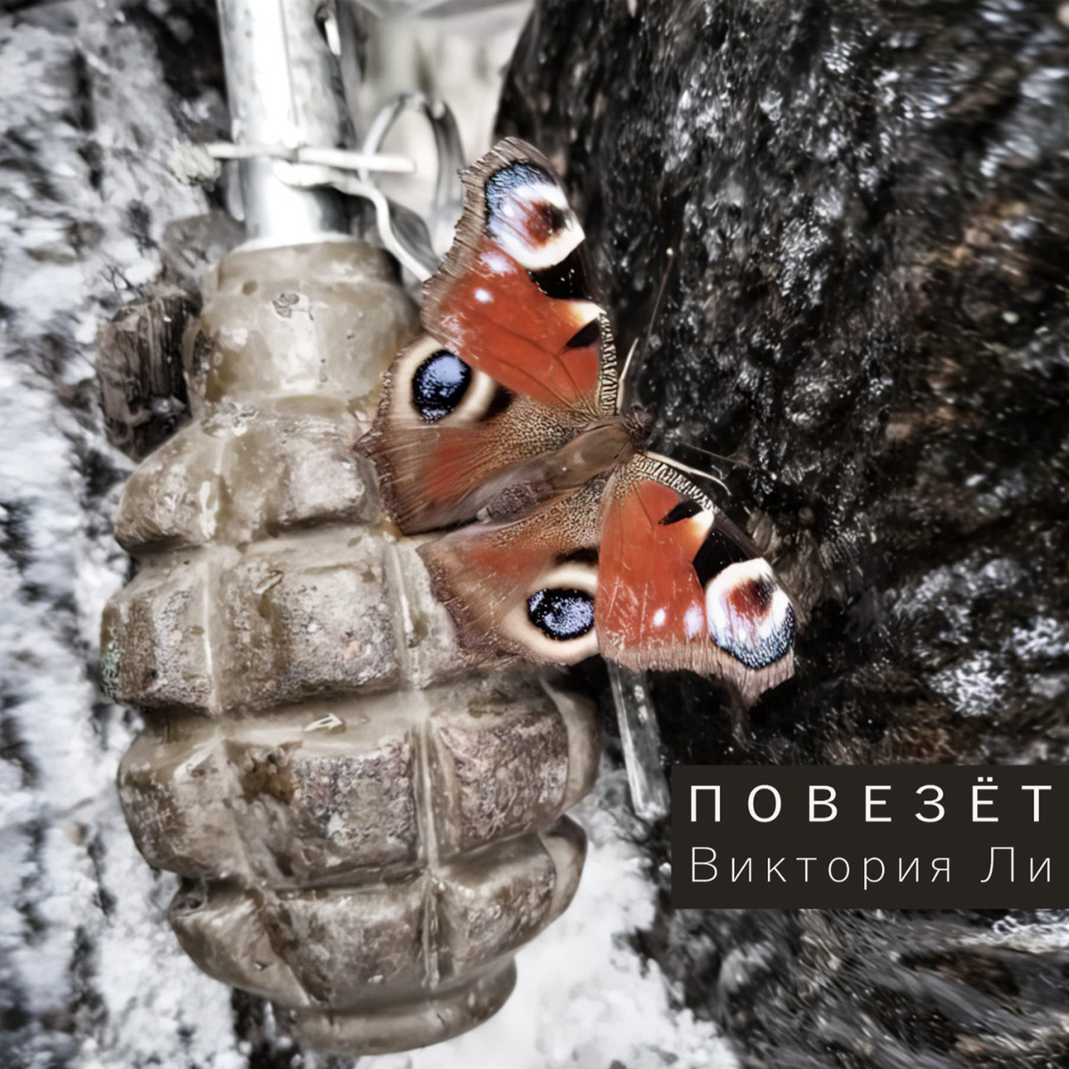 автор фото боец с позывным Бережной