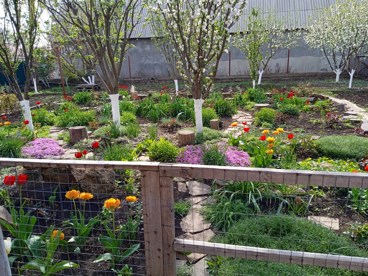 Собственное фото автора. 25 апреля 2025 г.