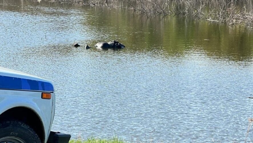    Фото: ГУ МЧС России по РТ