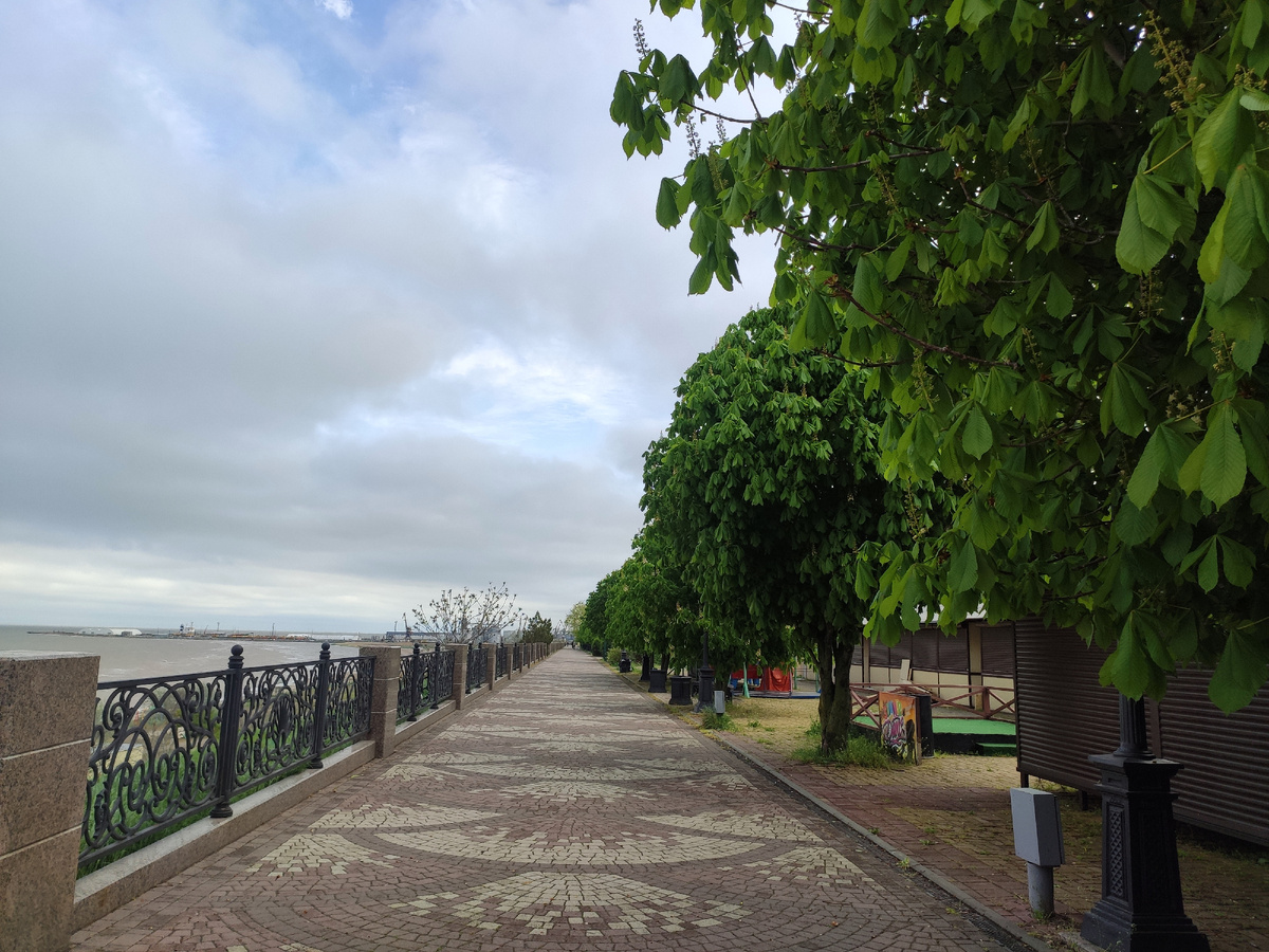 Погода сегодня переменчивая, то солнце выходило, то пряталось за тучи 