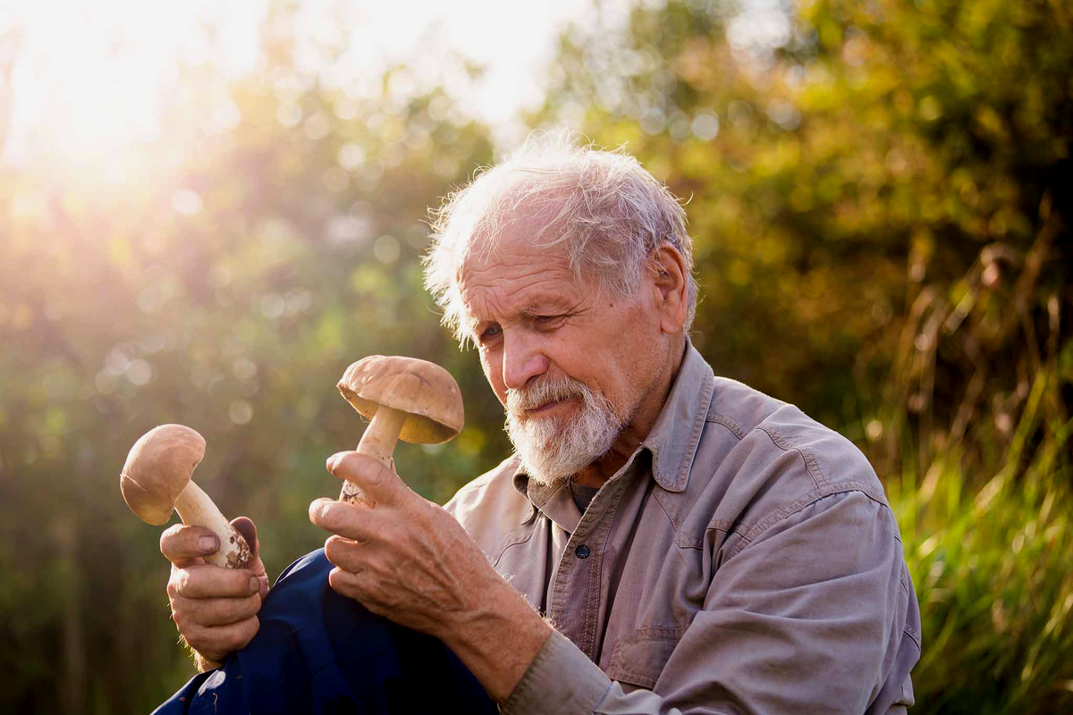 Источник: https://clck.ru/3LhnoV