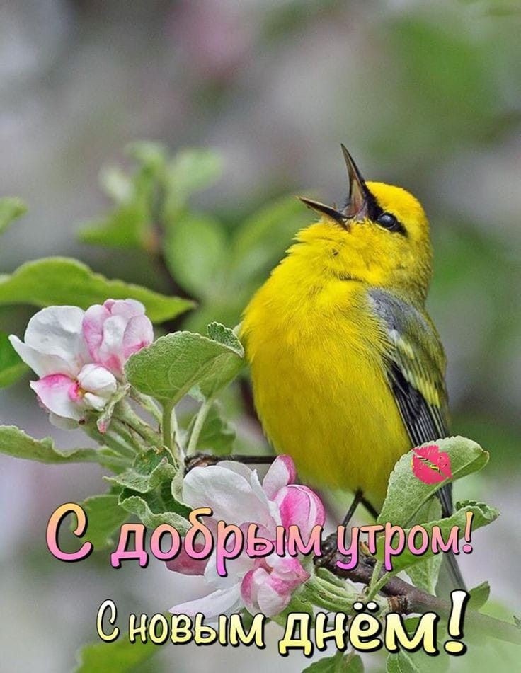 Фото из Pinterest.