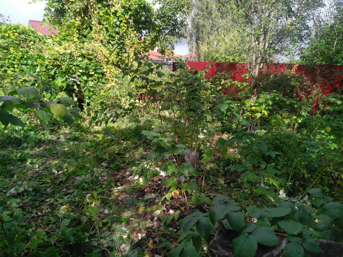 Делаем ряды, сентябрь 2019