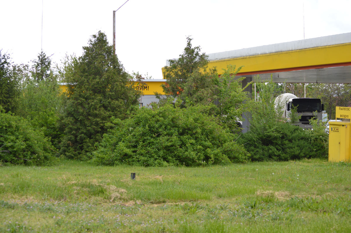 Фото автора. 26.04.2025. Районный центр. У заправки. Весна, однако.