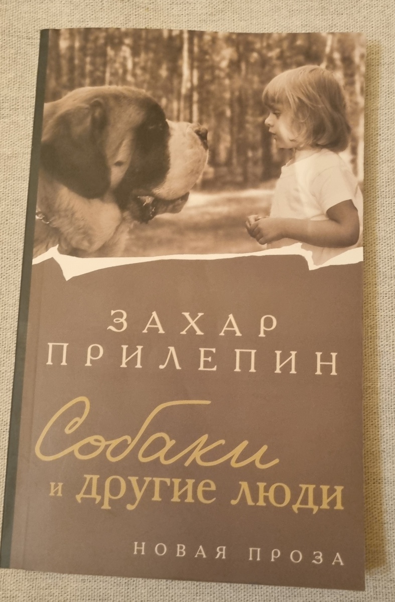Так выглядит книга