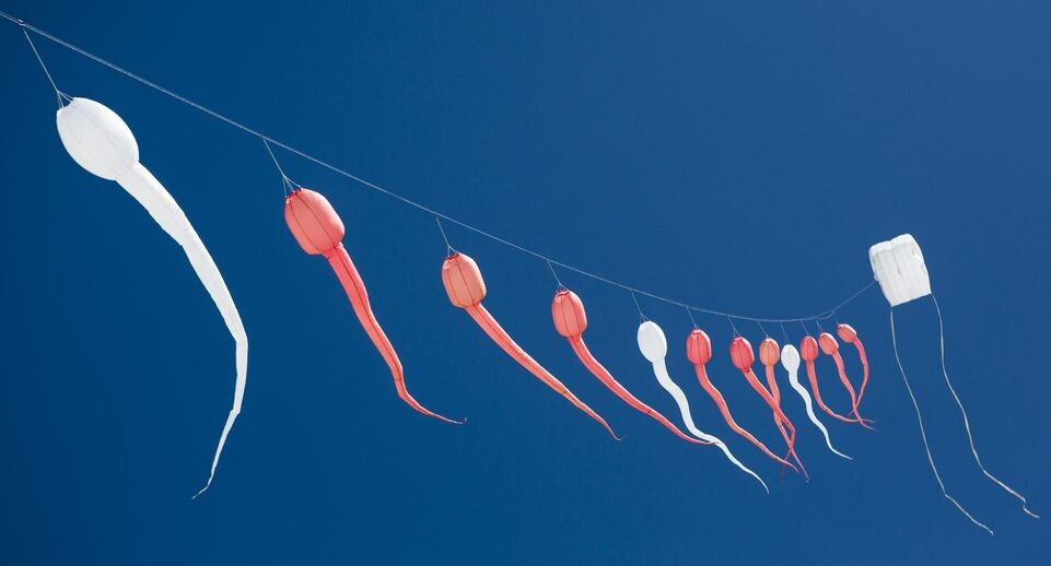    Jan Tepass/imageBROKER.com / www.globallookpress.com