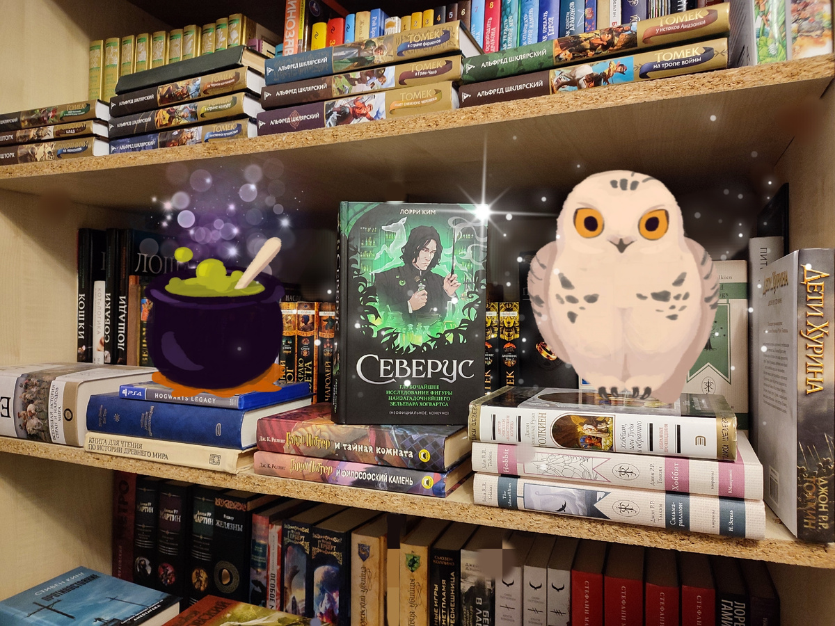 Фото сделано мной. На фото моя книжная полка и частная коллекция книг, одна из которых книга "Северус. Глубочайшее исследование фигуры наизагадочнейшего зельевара Хогвартса", автора Лорри Ким, от издательства Эксмо, 2024г. Фото обработано мной и демонстрирует общий визуальный фон книжной полки. Подробнее об этом рассказано в статье. Все материалы принадлежат правообладателям и размещены исключительно в информационных целях.