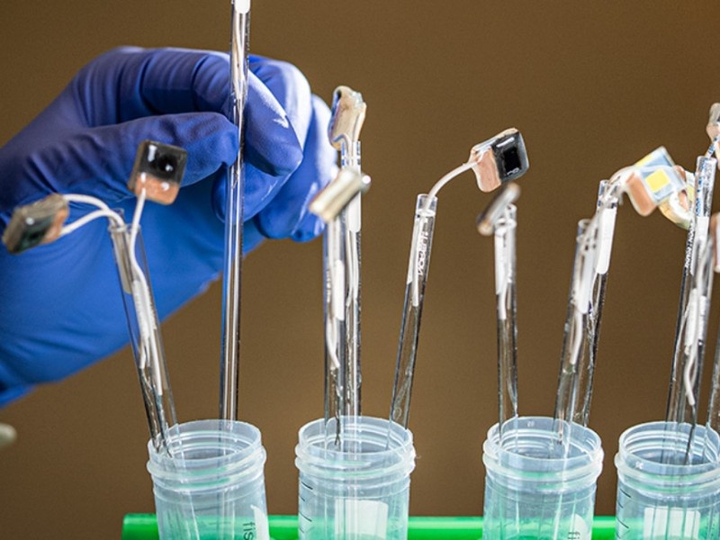    В США создали искусственные листья для превращения CO2 в топливо