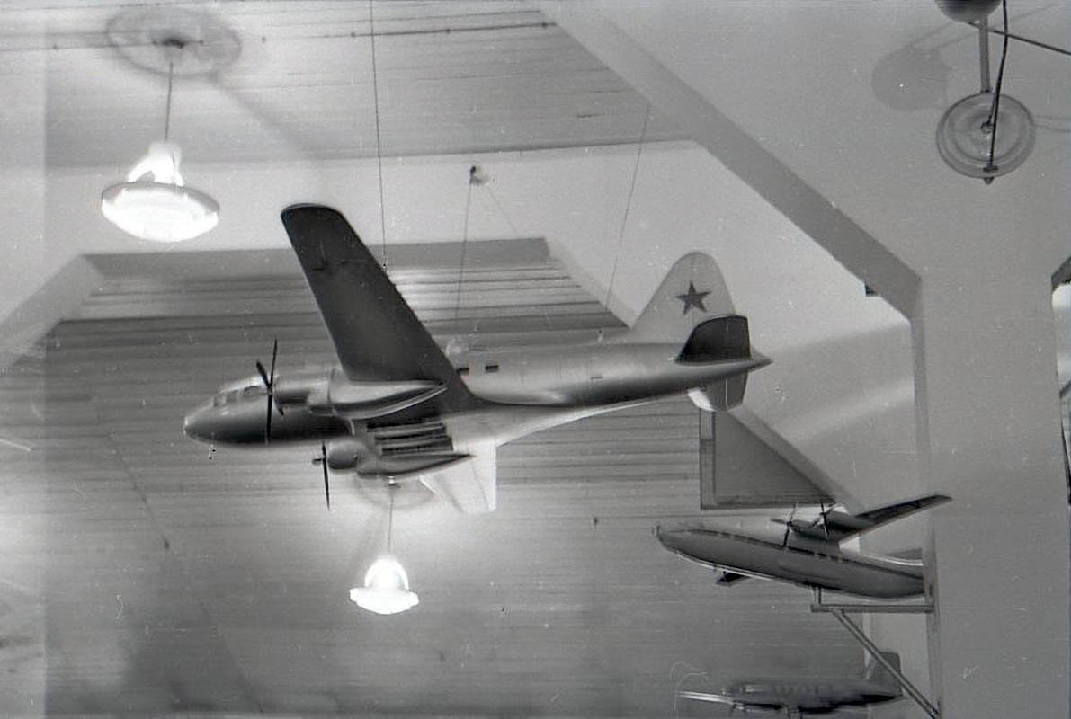 Фото: Николай Видякин