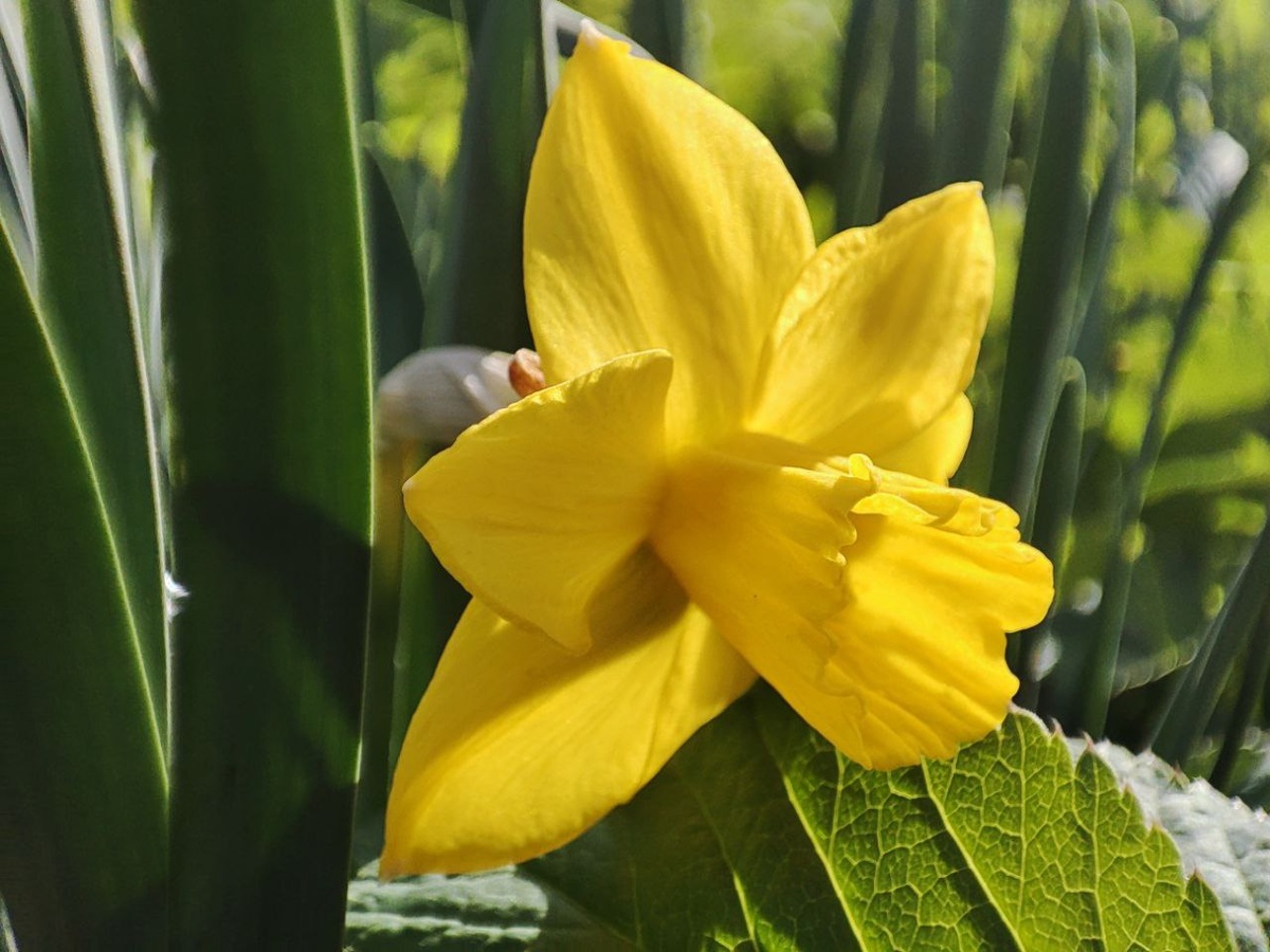 Фото мое. Камера на телефоне сына.)) 