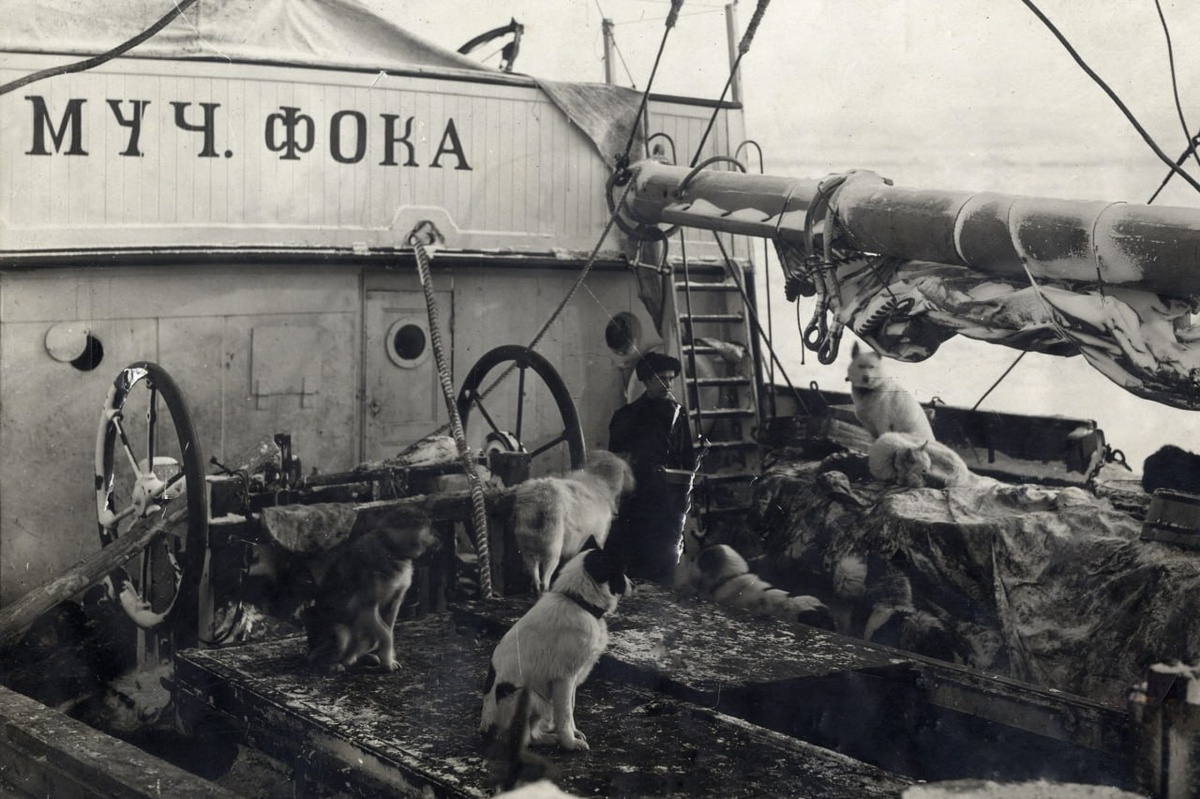 Седов в собаками на шхуне "Святой Фока". Источник: rgo.ru