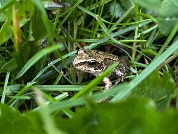    Фото: Светлана Лобова.UG.RU