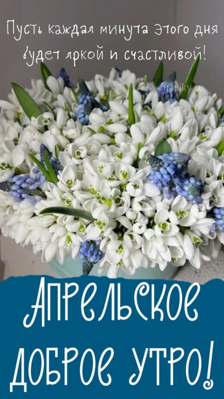 Из интернета для хорошего настроения 🫶🏻