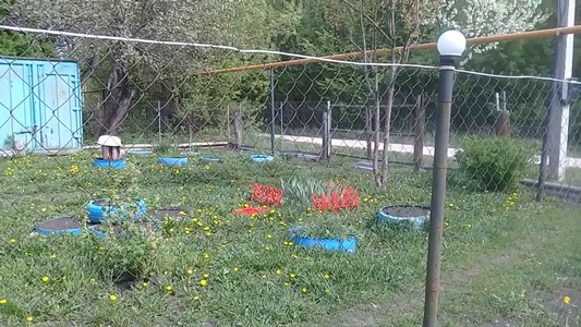 Жизньв деревне. Наш сад