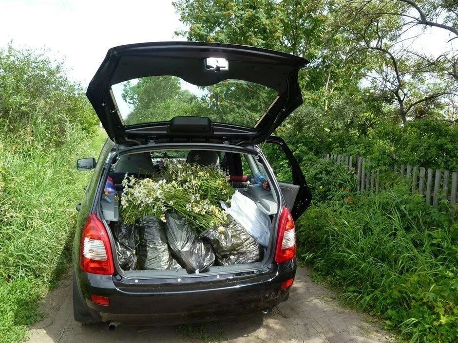 Фото заимствовано - https://dzen.ru/a/Zxiy1Ne3Ay6P0eAJ