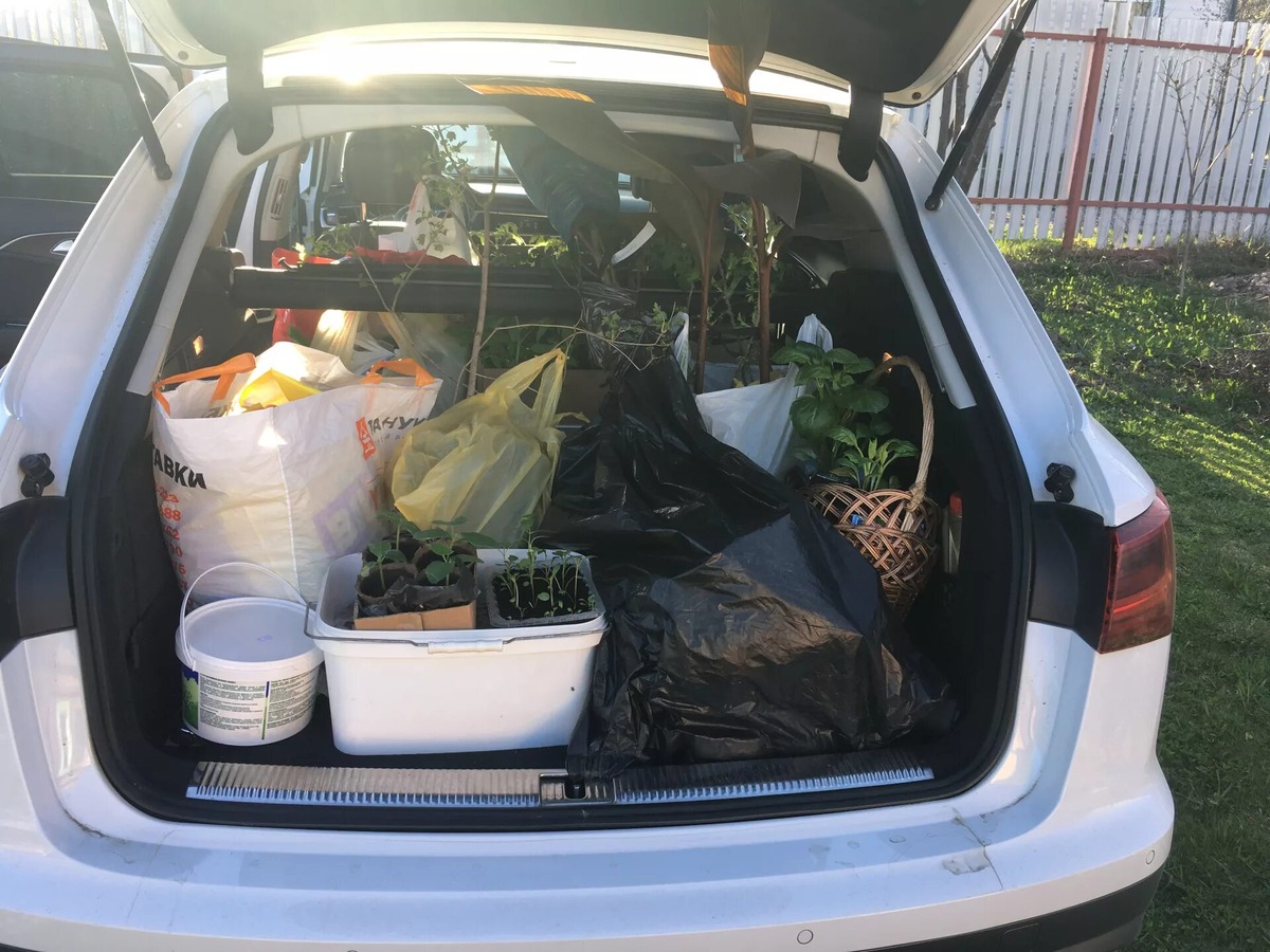 Фото заимствовано - https://seychas-edem-na-dachu.rukamisami.ru/