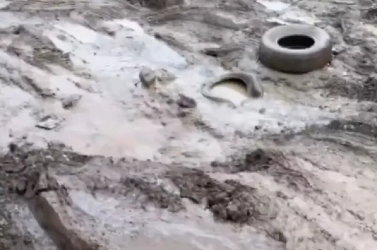    Жители столицы Камчатки жалуются на непроходимую дорогу на Рыбацкой