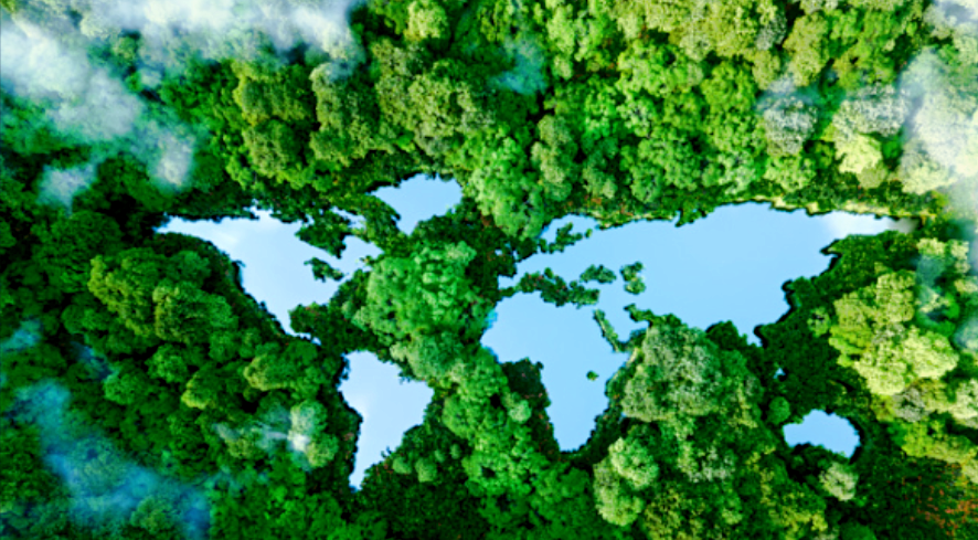 Иллюстрация: Shutterstock