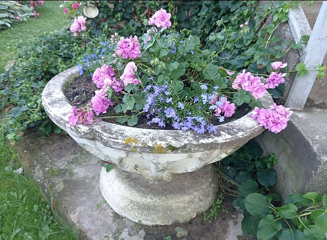 Фото Елены. 