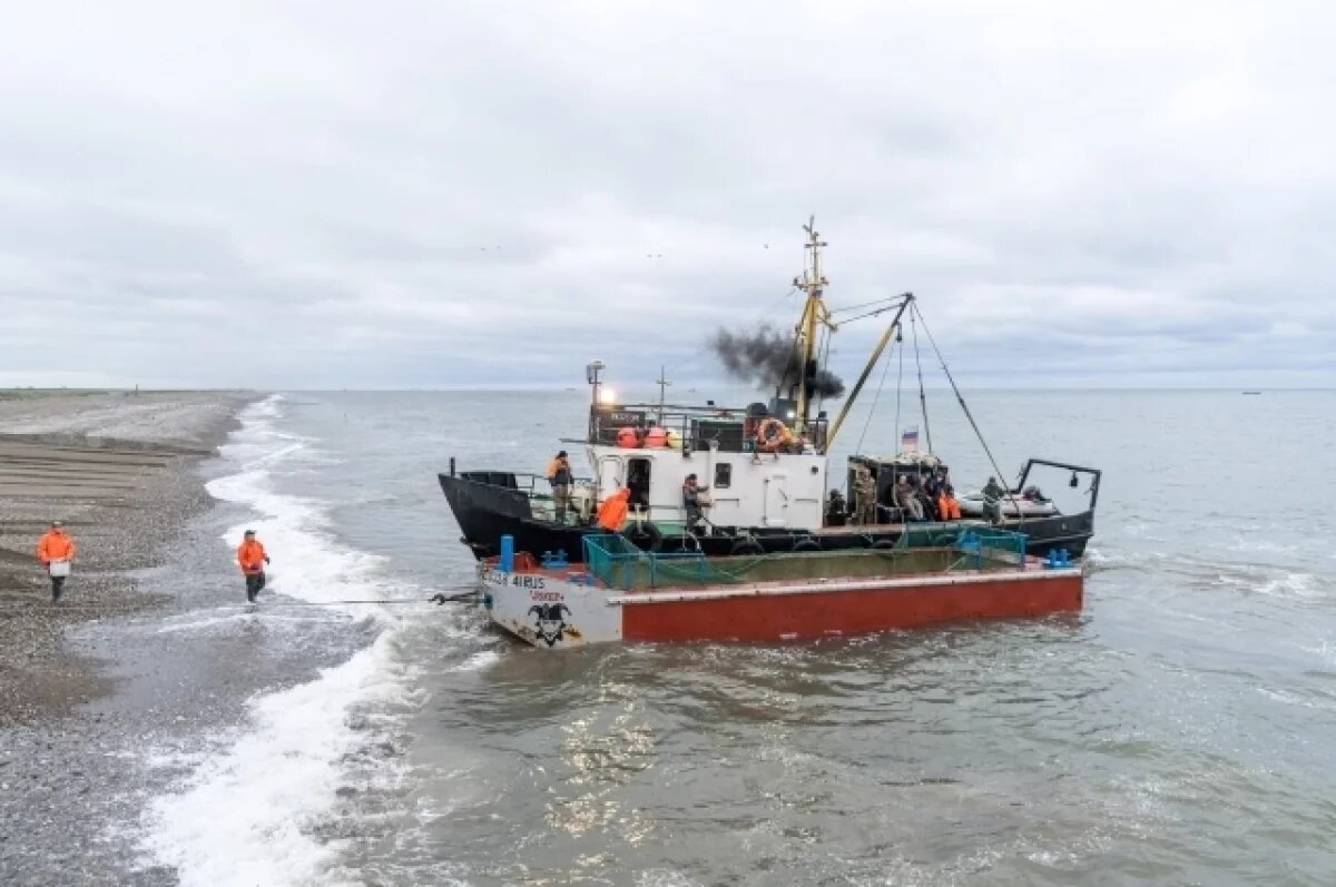    На Камчатке могут запретить промысел лососей в ряде районов