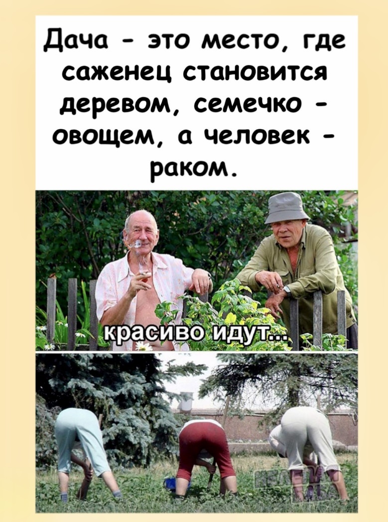 -4