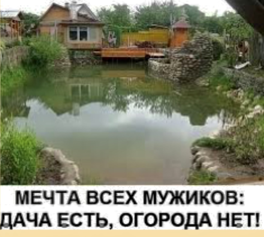 -6