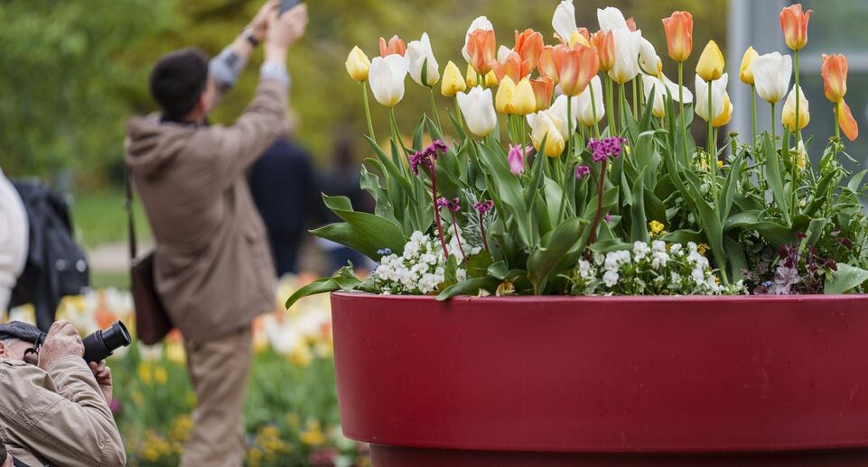    Andreas Arnold/dpa / www.globallookpress.com